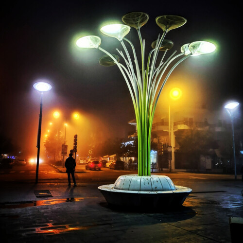 Foggy nights Foggy nights